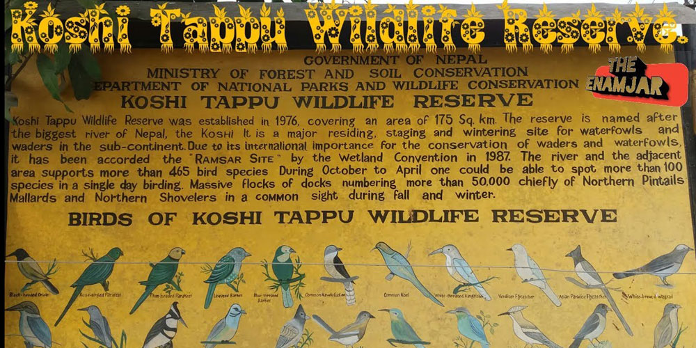 Koshi Tampu wildlife Reserve